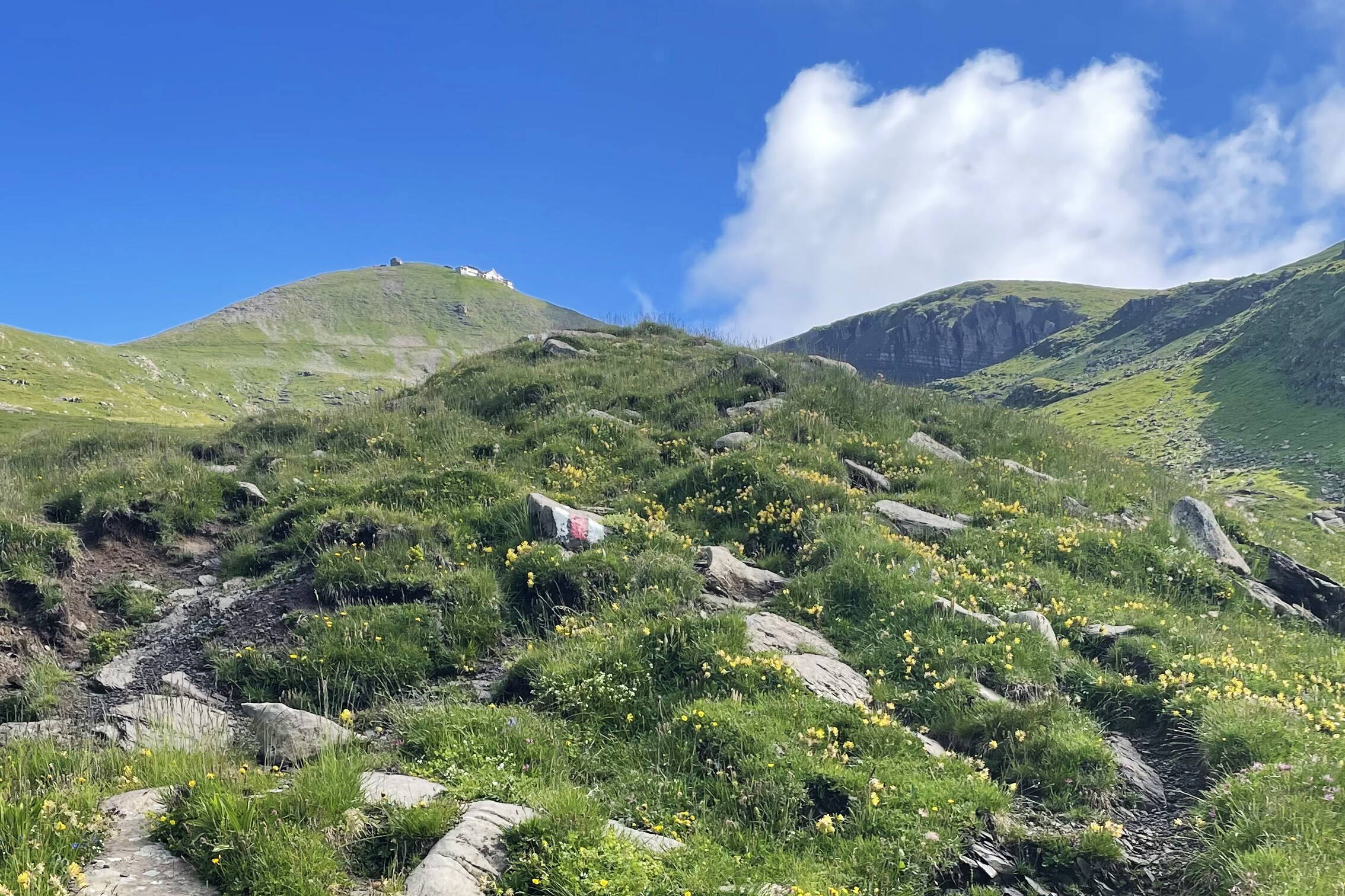 Bussalp – Faulhorn Bussalp – Faulhorn